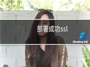 部署成功ssl，但是访问异常