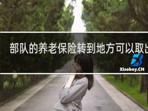 部队的养老保险转到地方可以取出吗