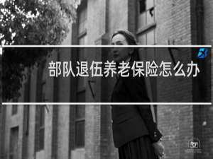 部队退伍养老保险怎么办