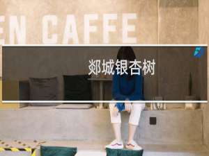 郯城银杏树