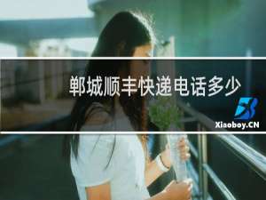 郸城顺丰快递电话多少
