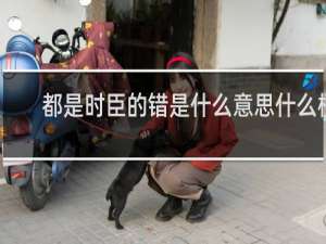 都是时臣的错是什么意思什么梗