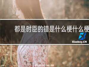 都是时臣的错是什么梗什么梗