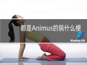 都是Animus的锅什么梗