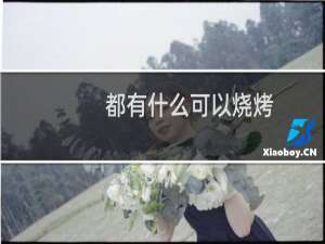 都有什么可以烧烤