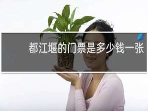 都江堰的门票是多少钱一张