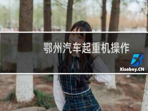 鄂州汽车起重机操作