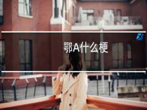 鄂A什么梗