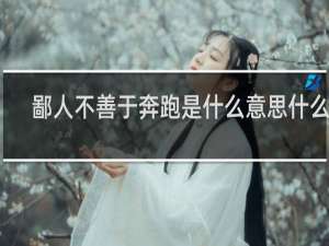 鄙人不善于奔跑是什么意思什么梗