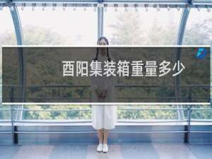 酉阳集装箱重量多少