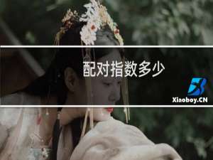 配对指数多少