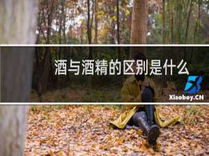 酒与酒精的区别是什么