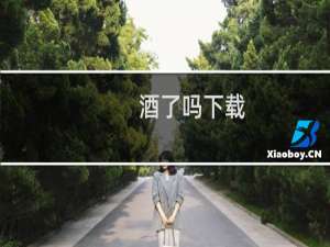 酒了吗下载