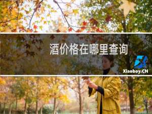 酒价格在哪里查询