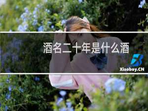 酒名二十年是什么酒