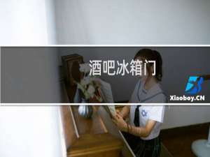 酒吧冰箱门