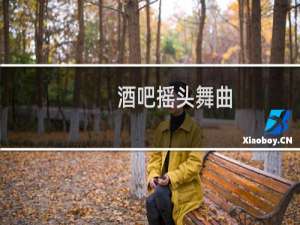 酒吧摇头舞曲