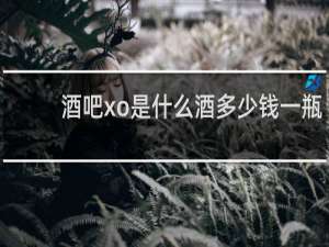 酒吧xo是什么酒多少钱一瓶