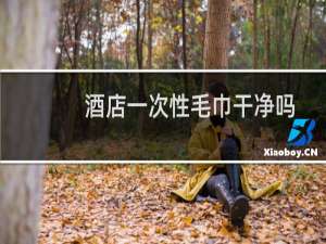 酒店一次性毛巾干净吗