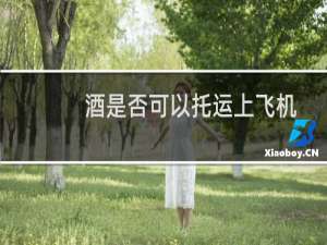 酒是否可以托运上飞机