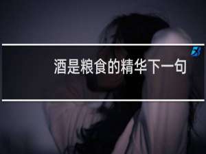 酒是粮食的精华下一句
