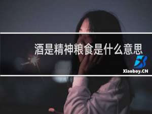 酒是精神粮食是什么意思