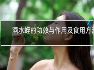 酒水蛭的功效与作用及食用方法