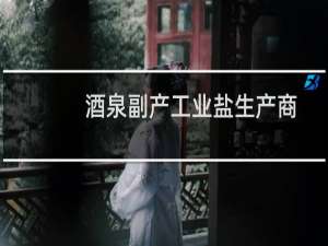 酒泉副产工业盐生产商