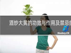 酒炒大黄的功效与作用及禁忌症