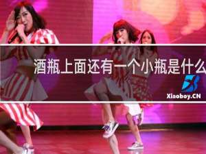 酒瓶上面还有一个小瓶是什么