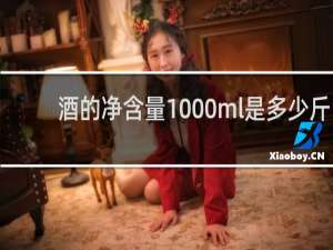 酒的净含量1000ml是多少斤