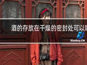 酒的存放在干燥的密封处可以吗