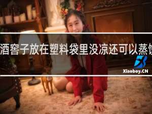 酒窖子放在塑料袋里没凉还可以蒸馒头吗