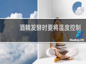 酒精发酵时要将温度控制在18到25度原因是