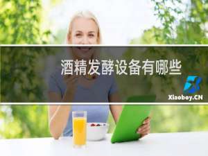 酒精发酵设备有哪些