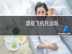 酒能飞机托运吗