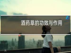 酒药草的功效与作用