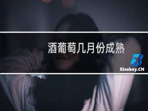 酒葡萄几月份成熟