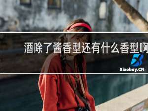 酒除了酱香型还有什么香型啊