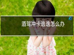 酒驾冲卡逃逸怎么办