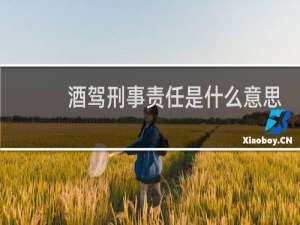 酒驾刑事责任是什么意思