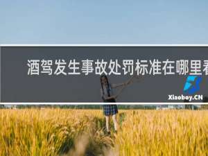 酒驾发生事故处罚标准在哪里看