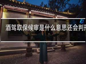酒驾取保候审是什么意思还会判刑吗