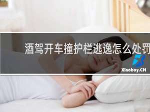 酒驾开车撞护栏逃逸怎么处罚