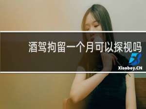 酒驾拘留一个月可以探视吗