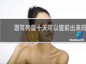 酒驾拘留十天可以提前出来吗