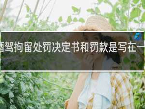 酒驾拘留处罚决定书和罚款是写在一起的吗