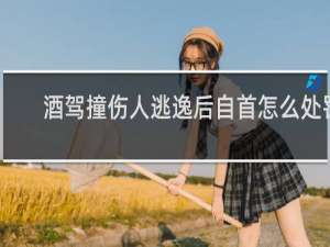 酒驾撞伤人逃逸后自首怎么处罚