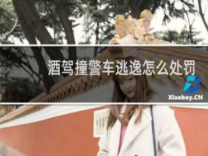 酒驾撞警车逃逸怎么处罚
