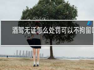 酒驾无证怎么处罚可以不拘留吗